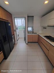 Suites @ Cairnhill (D9), Apartment #496053131